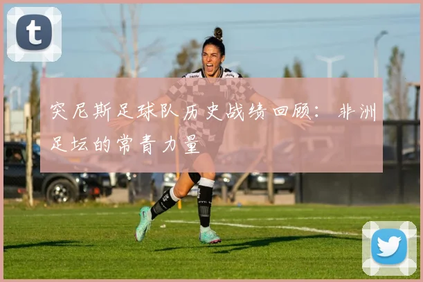 突尼斯足球队历史战绩回顾：非洲足坛的常青力量