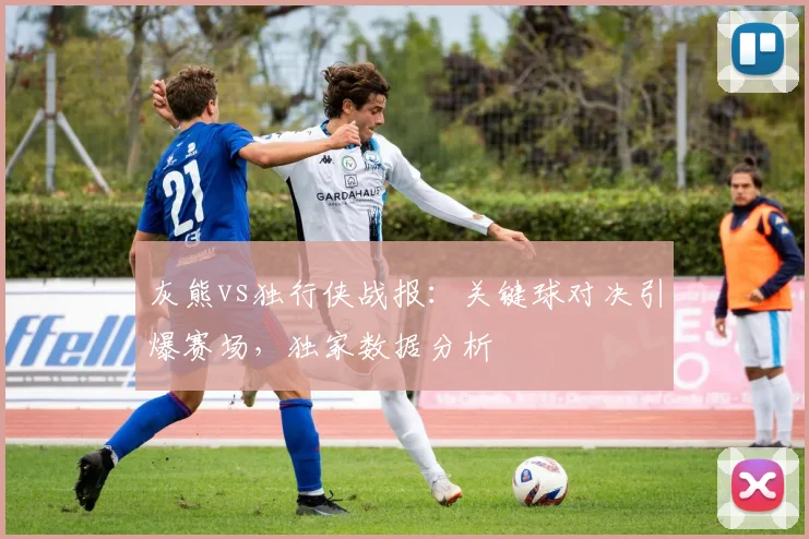 灰熊vs独行侠战报：关键球对决引爆赛场，独家数据分析