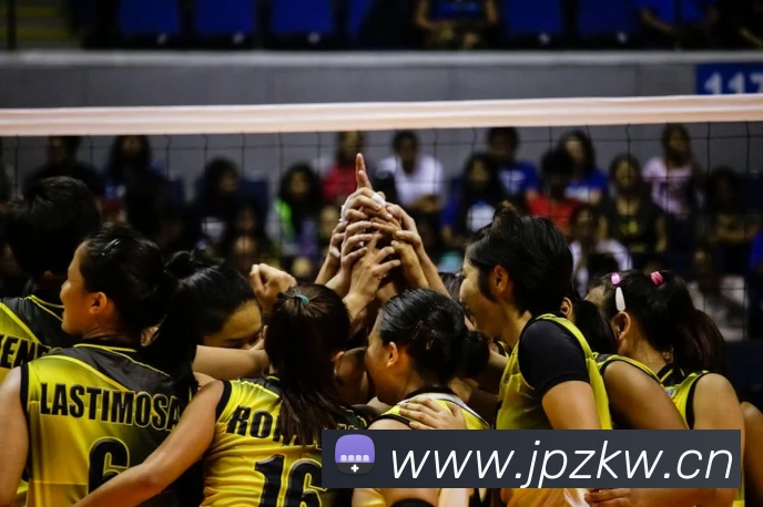 ayx.com官方版品牌故事